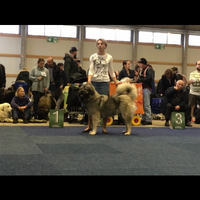IDS KASSEL'18 - VALKYRIA